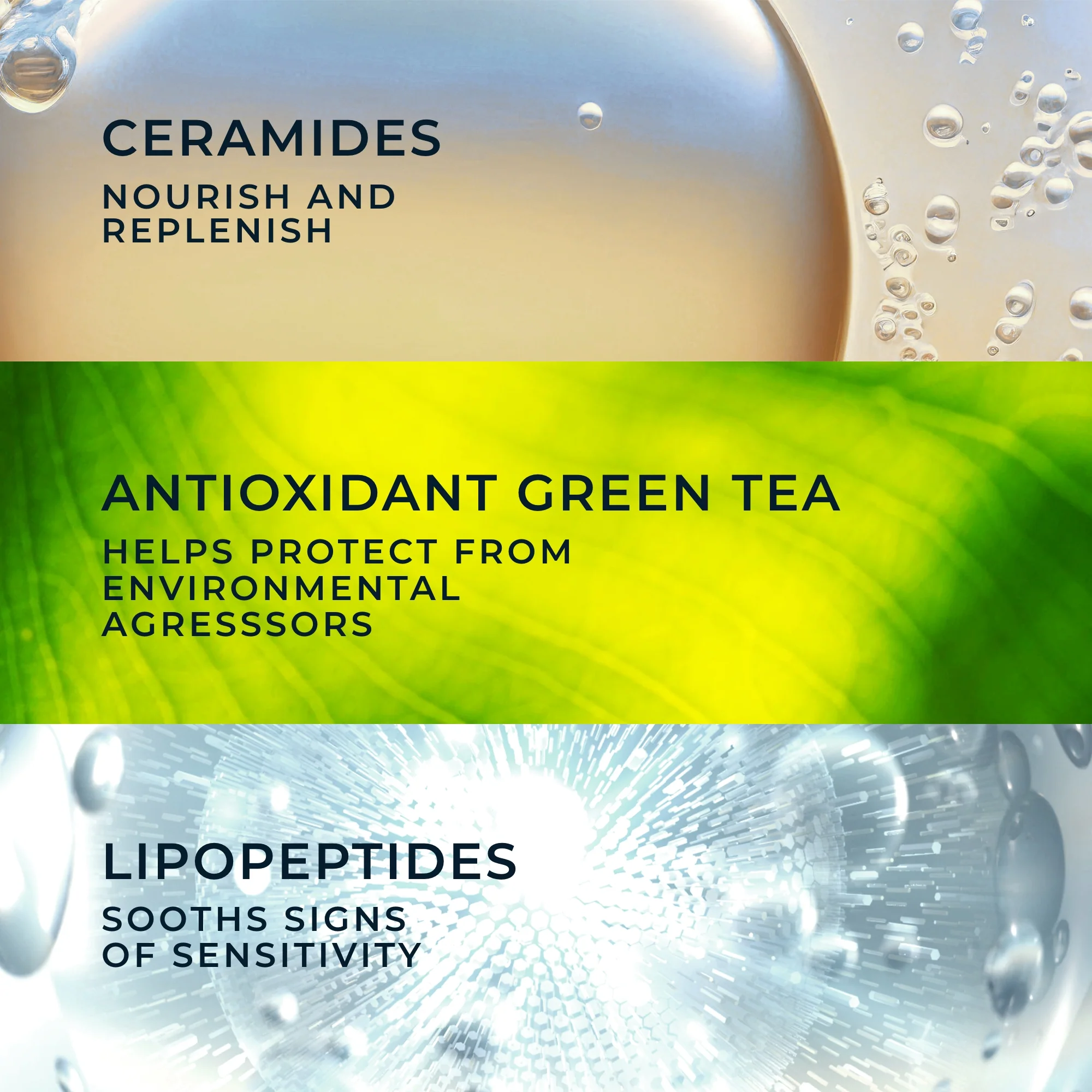 Barrier Renew® PM Moisturizer 4 Barrier Renew® PM Moisturizer